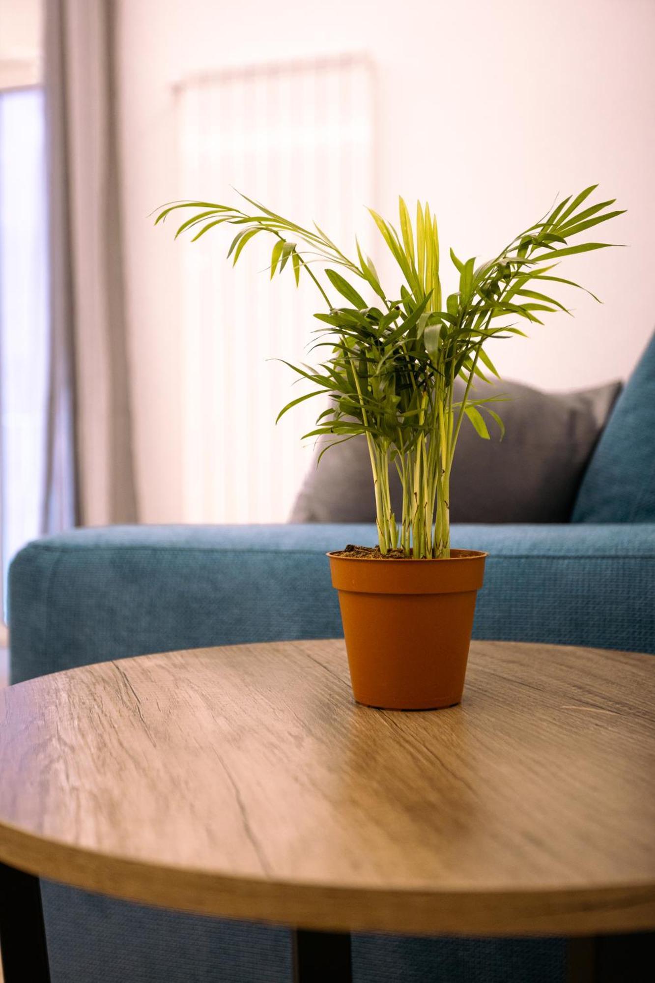 Song House Apartment Centro Storico 7 Pax Napoli Dış mekan fotoğraf